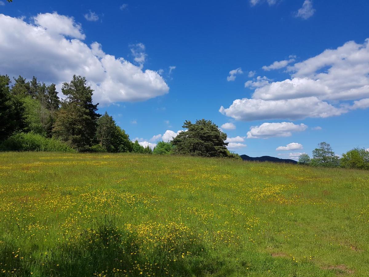 Hoellenbergblick Spirkelbach Экстерьер фото